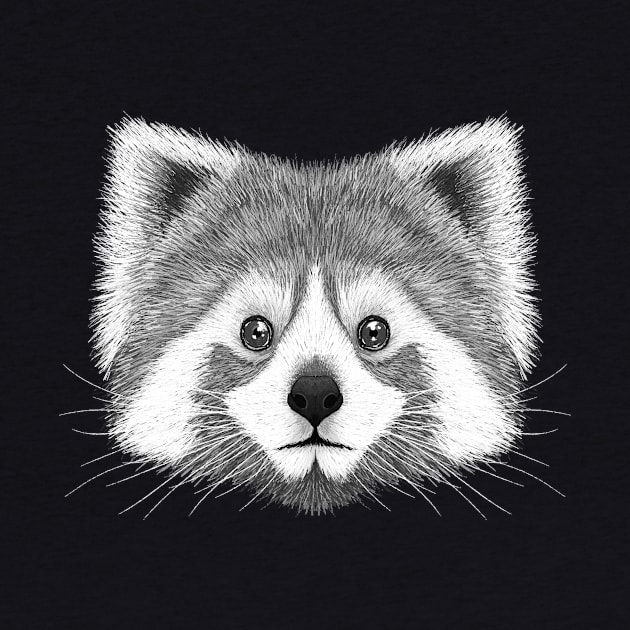 Red Panda B&W by Rohan Dahotre